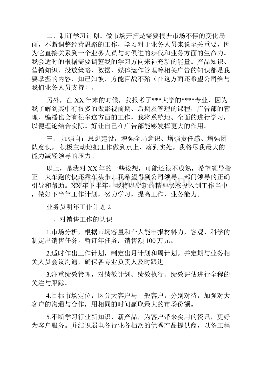 业务员明年工作计划.docx_第2页