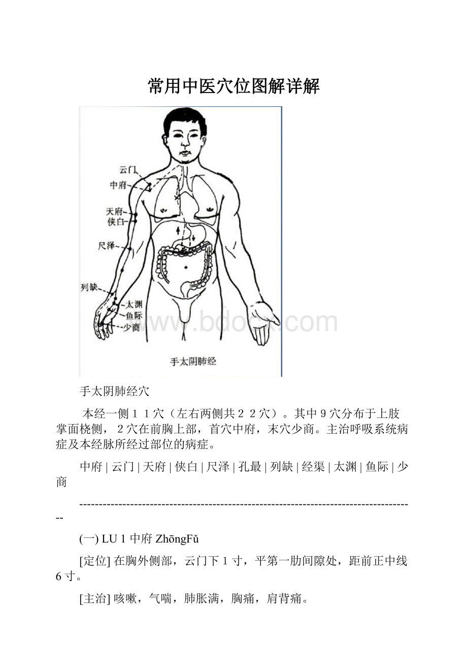 常用中医穴位图解详解.docx_第1页