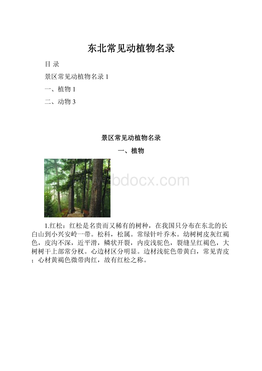 东北常见动植物名录.docx_第1页