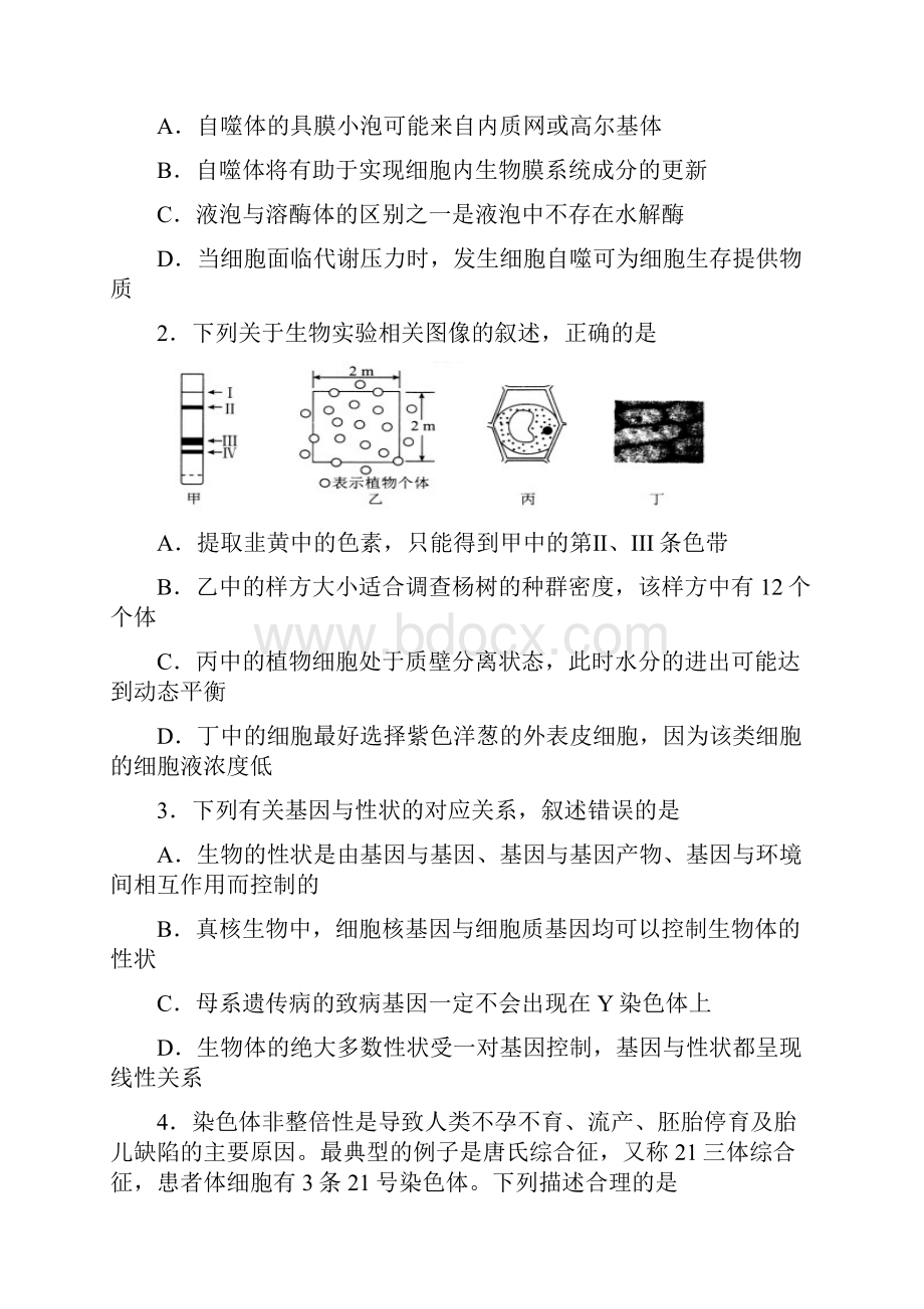 普通高等学校届高三招生全国统一考试模拟四理科综合试题.docx_第2页