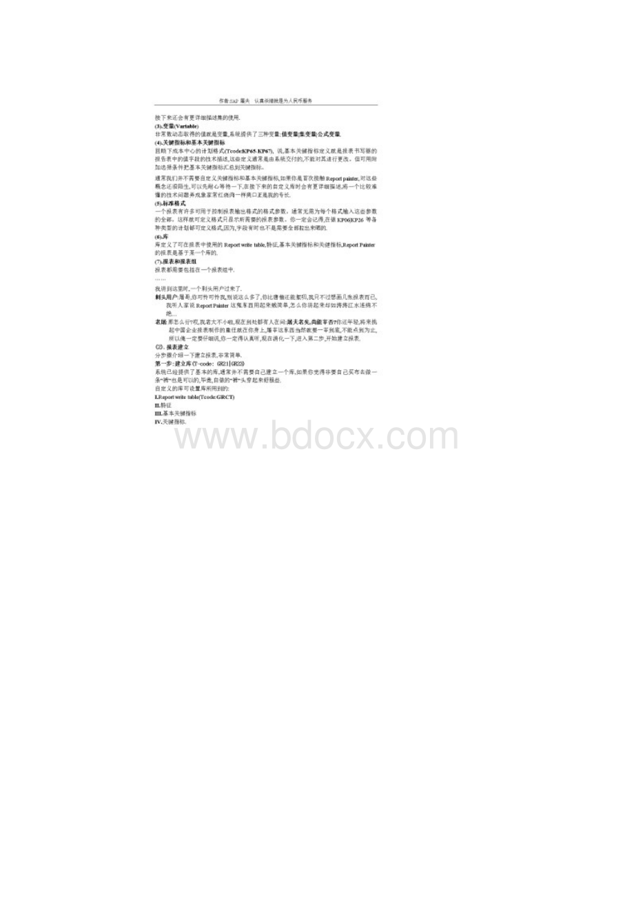 ReportPainter详解.docx_第2页