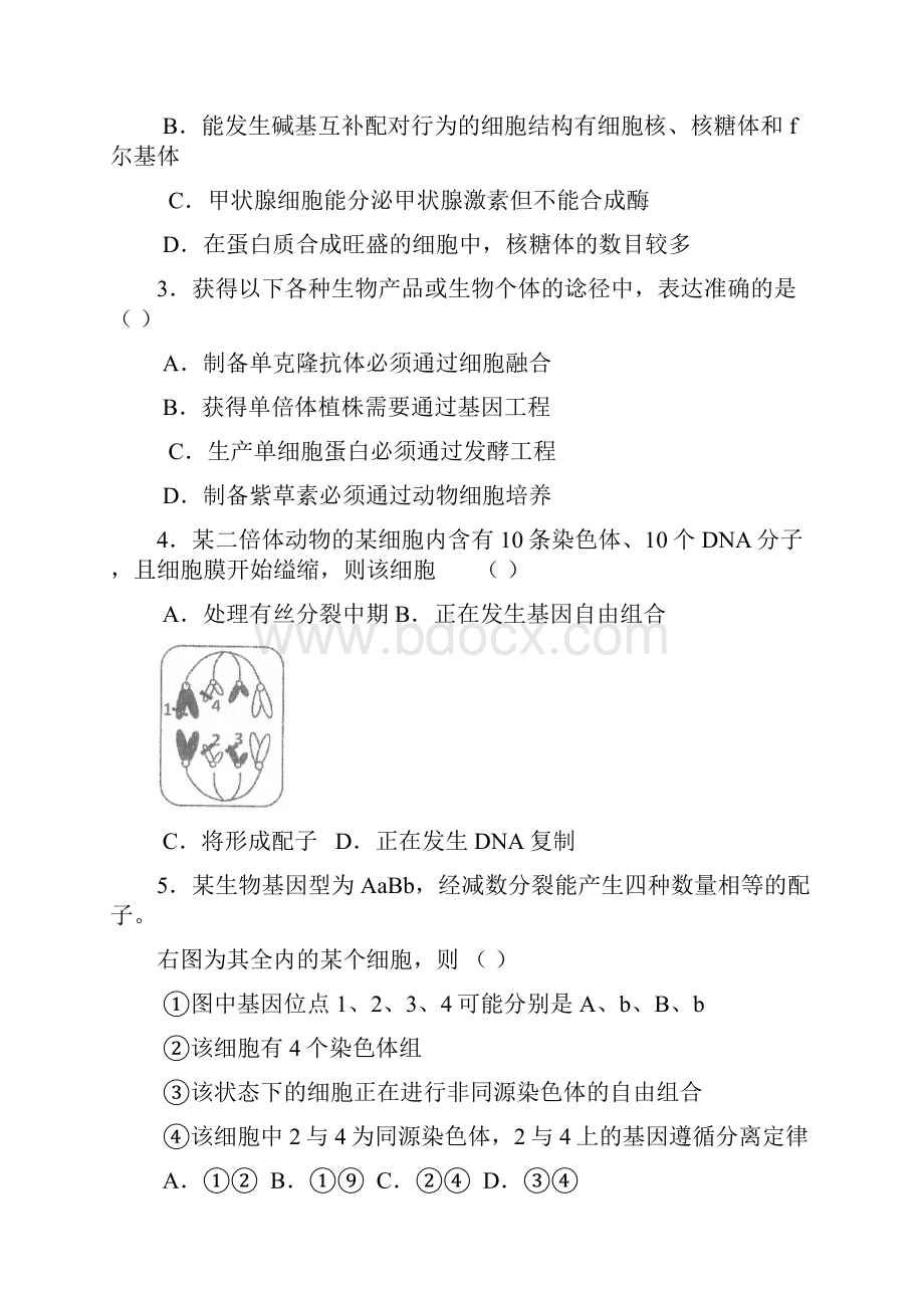 整理广西南宁二中届高三月考理综试题.docx_第2页