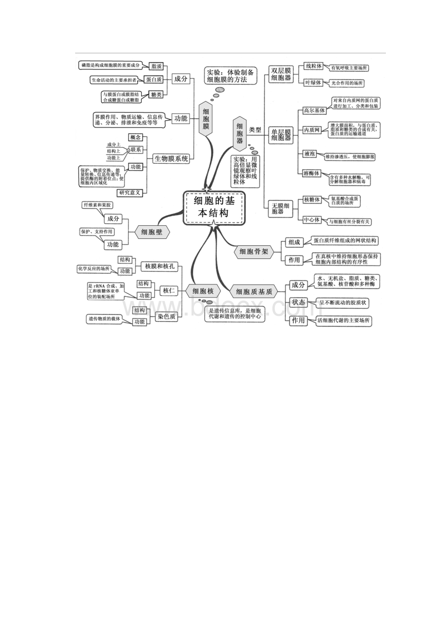 高中生物知识网络思维导图 11.docx_第2页