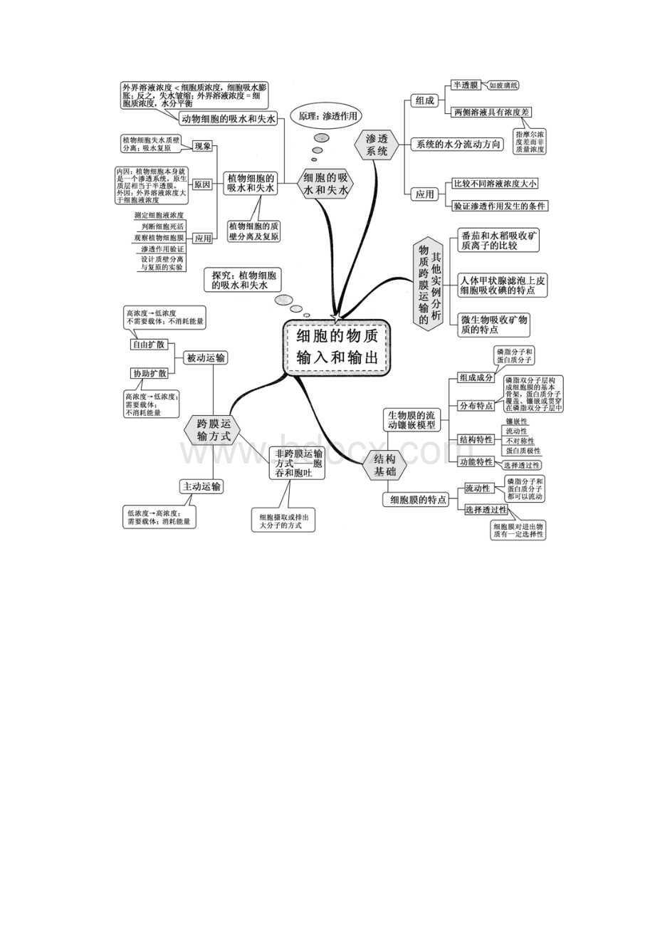 高中生物知识网络思维导图 11.docx_第3页