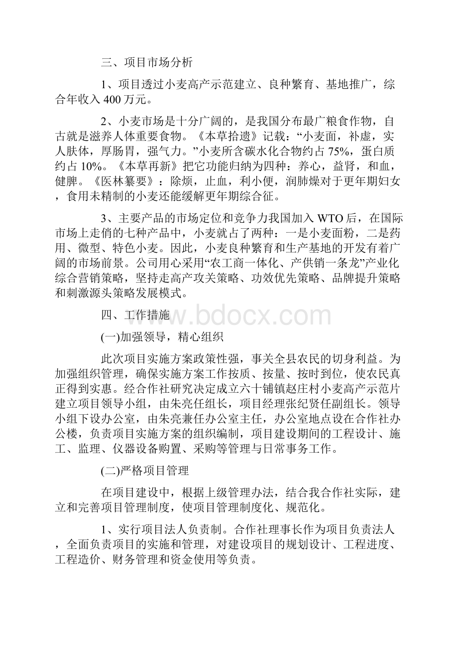 项目实施计划方案范文.docx_第3页