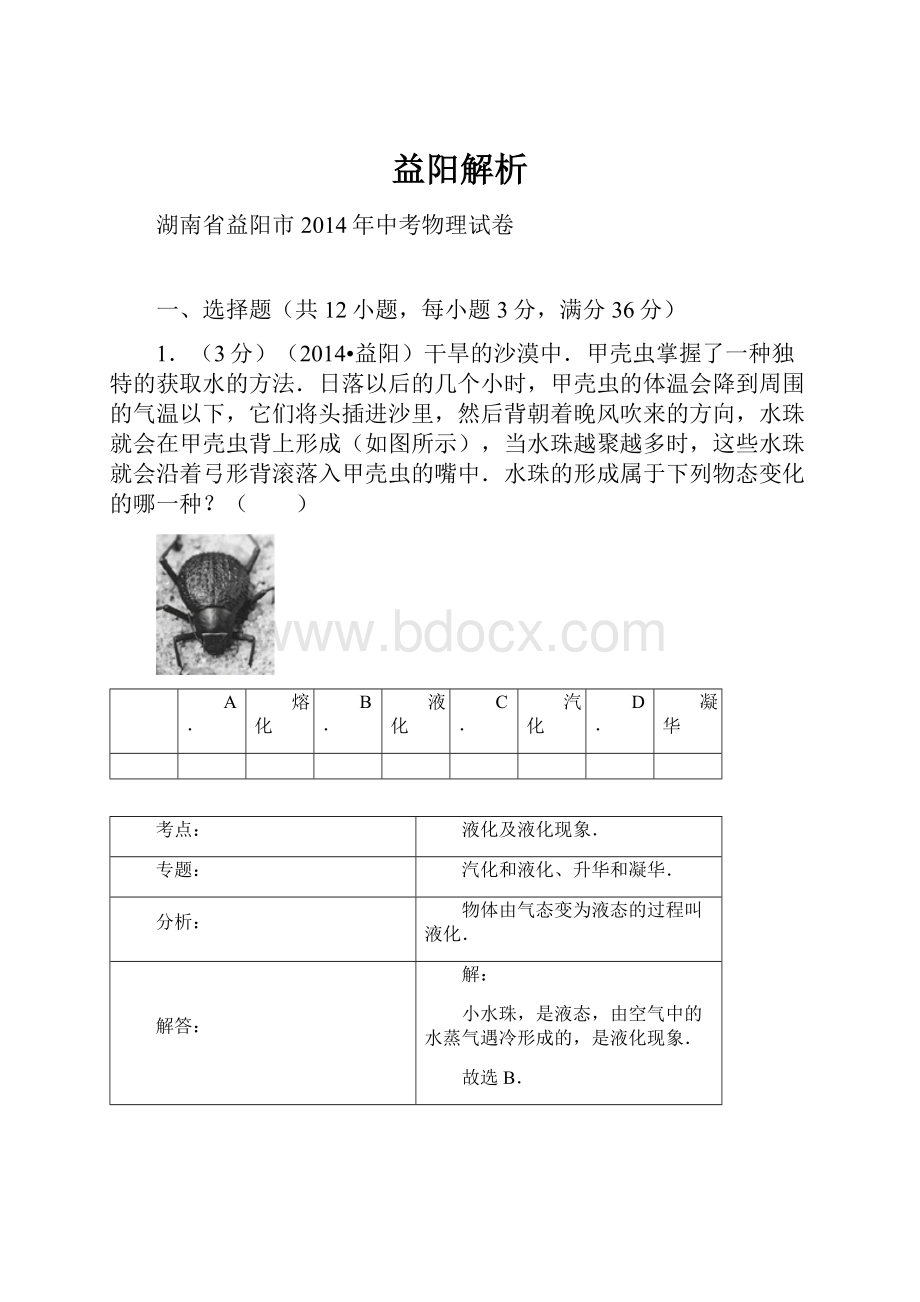 益阳解析.docx_第1页