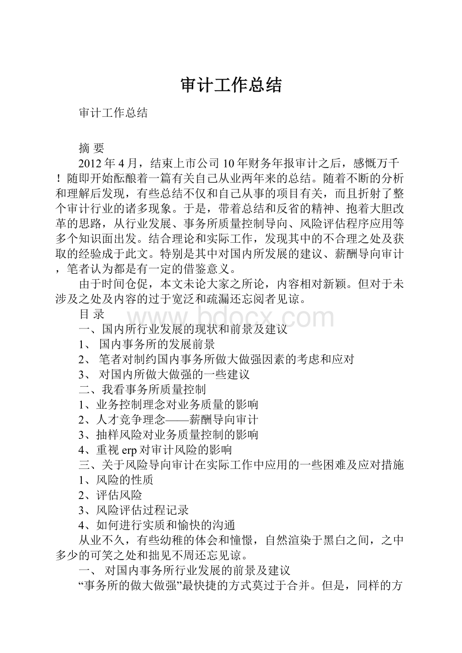 审计工作总结.docx_第1页