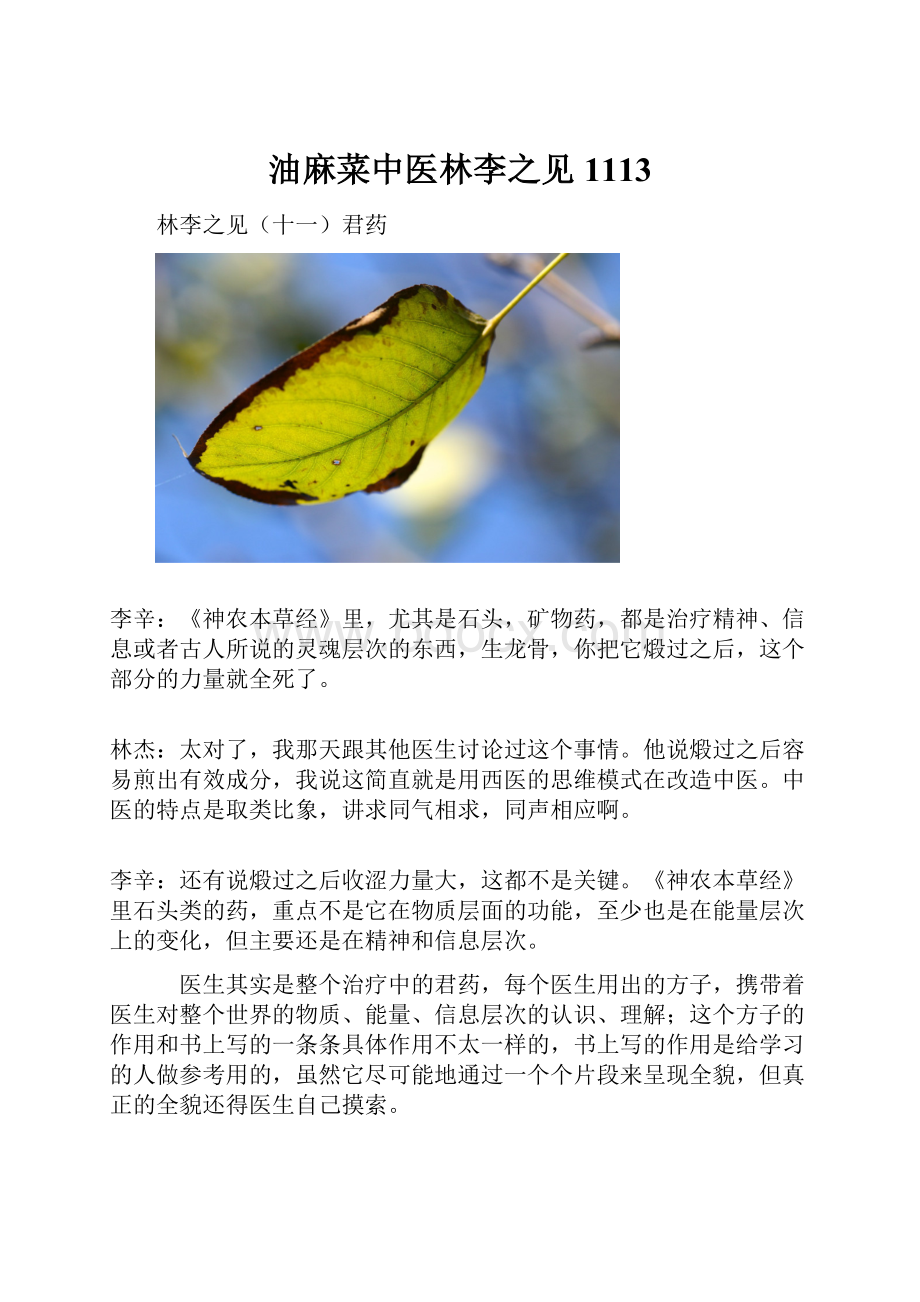 油麻菜中医林李之见1113.docx