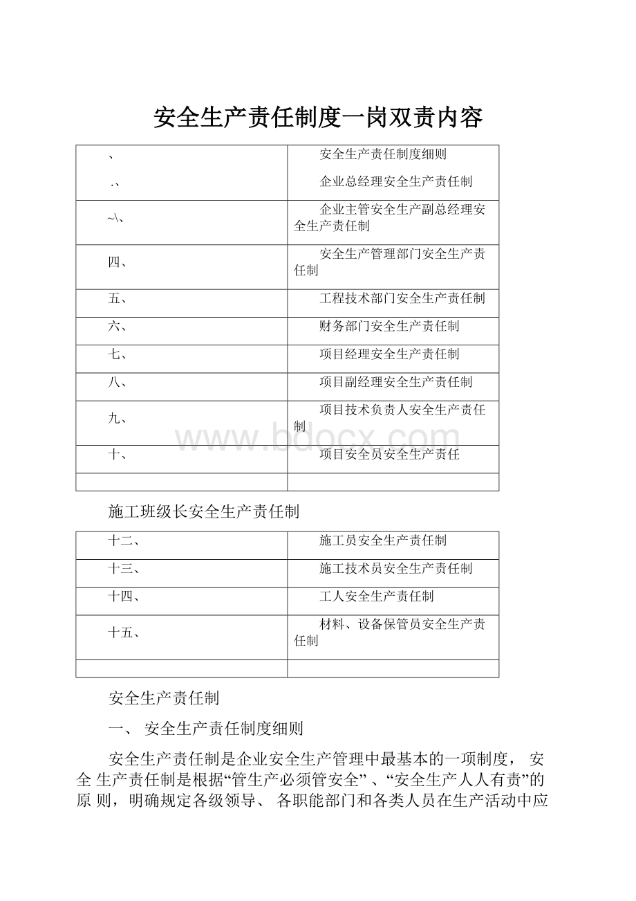 安全生产责任制度一岗双责内容.docx