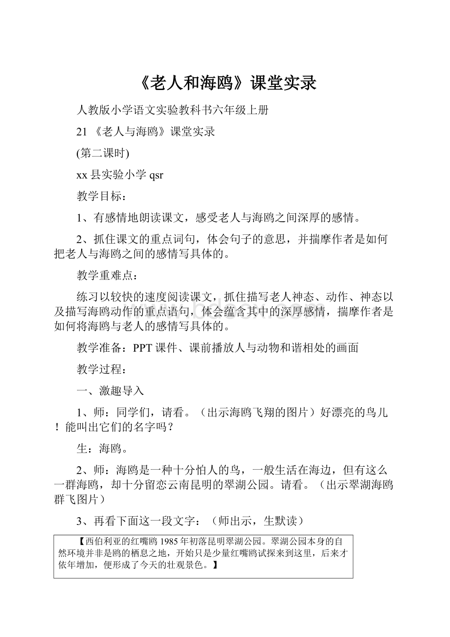 《老人和海鸥》课堂实录.docx