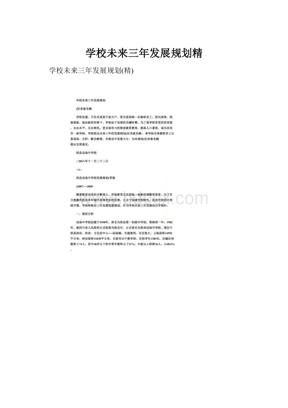 学校未来三年发展规划精.docx