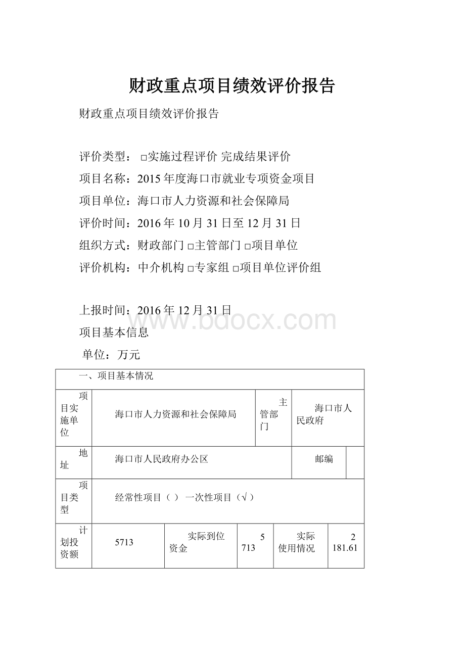 财政重点项目绩效评价报告.docx_第1页