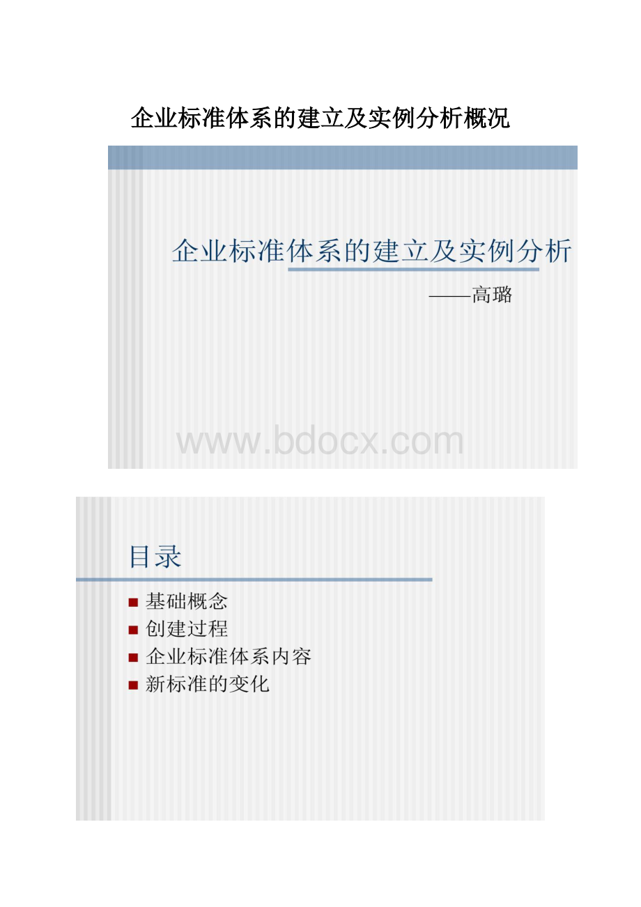 企业标准体系的建立及实例分析概况.docx_第1页