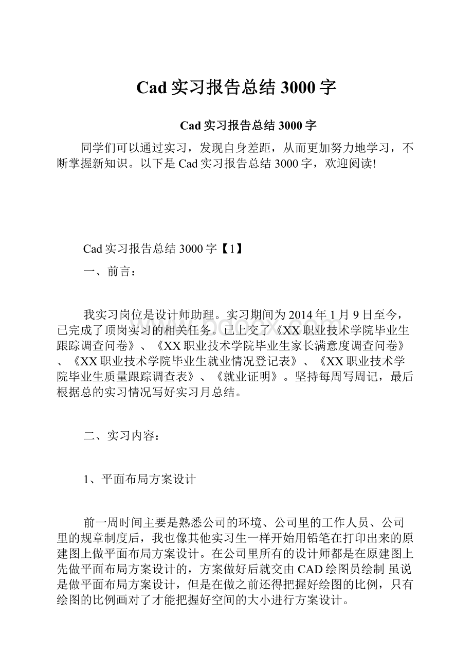 Cad实习报告总结3000字.docx_第1页