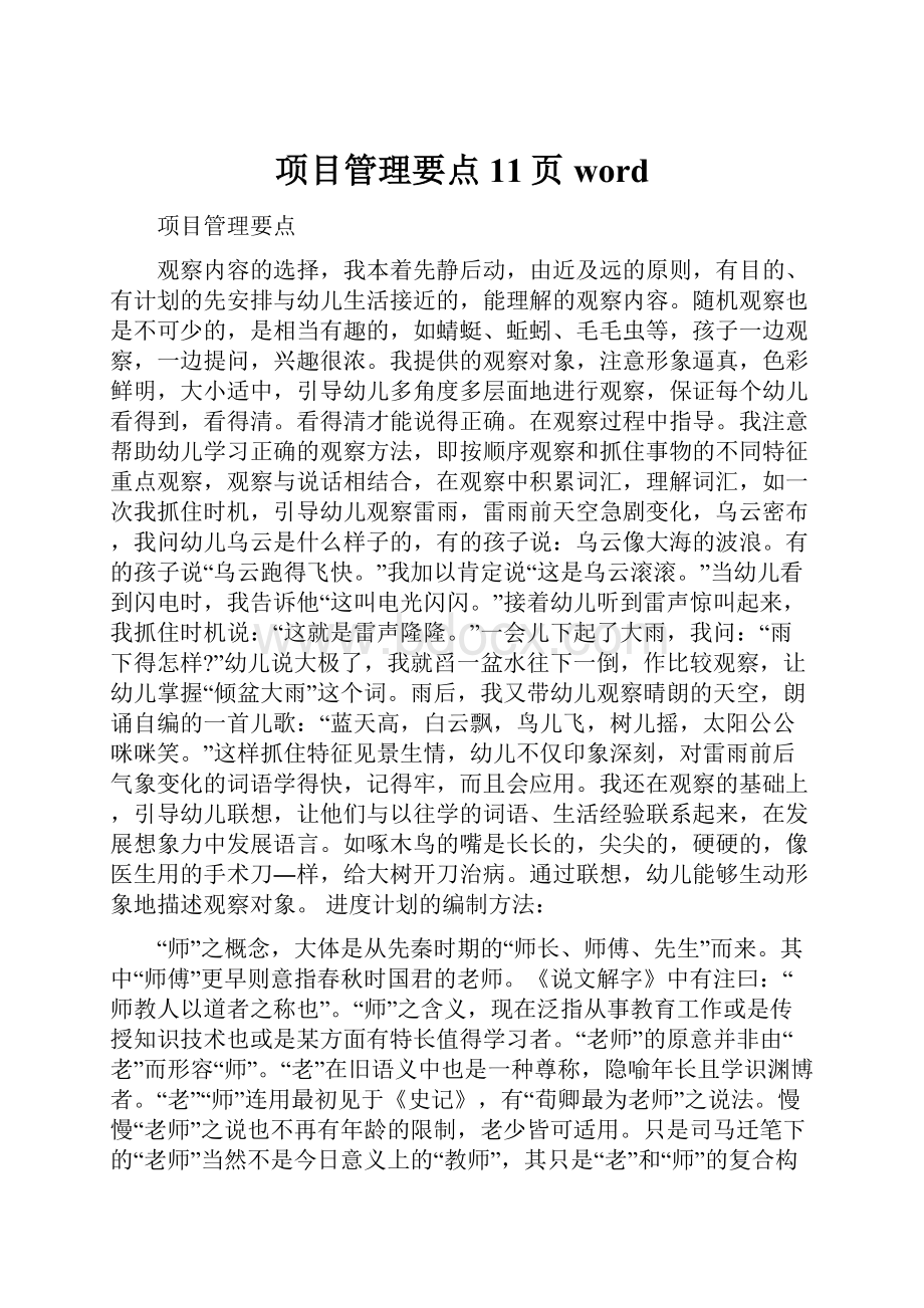 项目管理要点11页word.docx