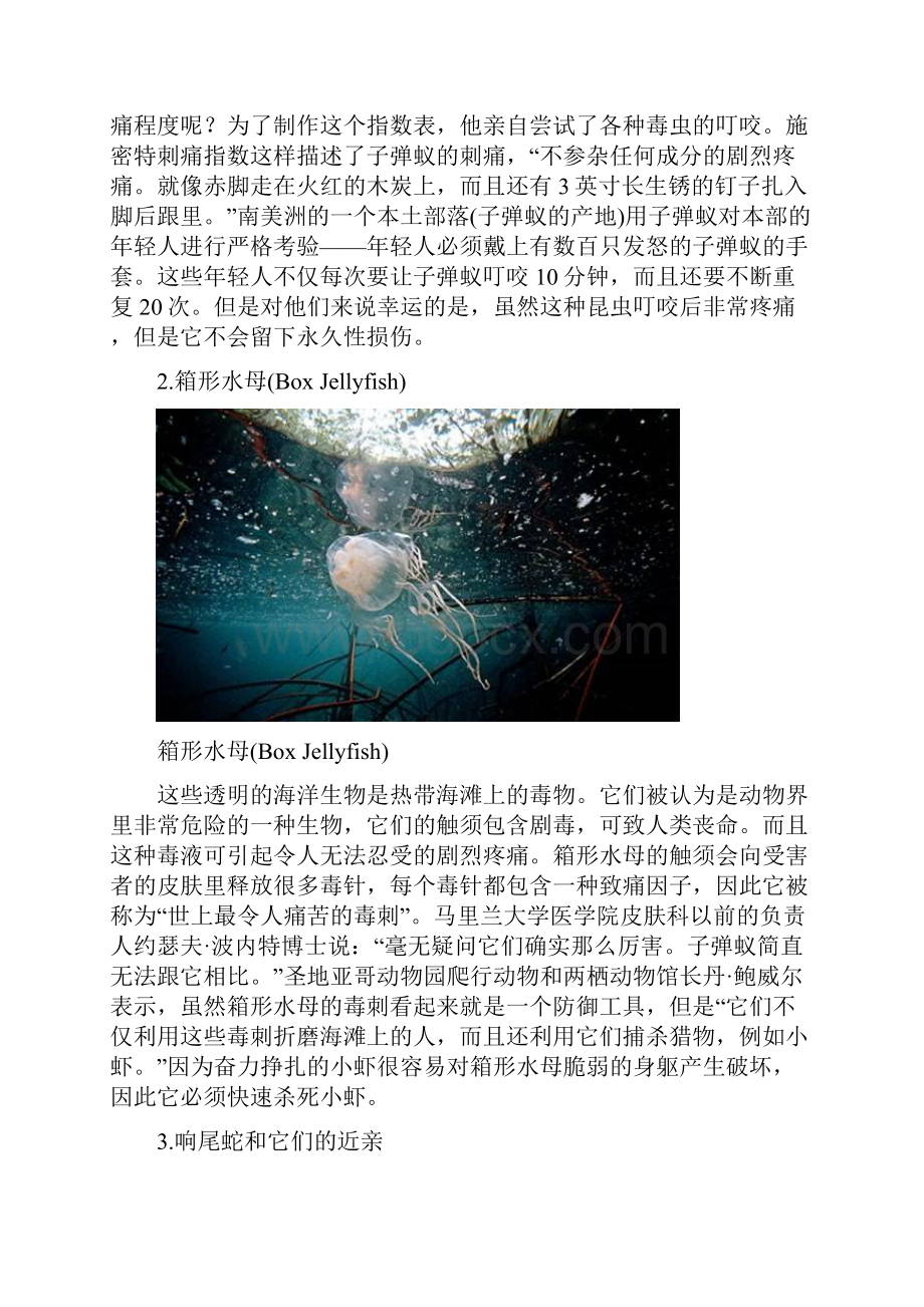 全球十大最毒动物.docx_第2页