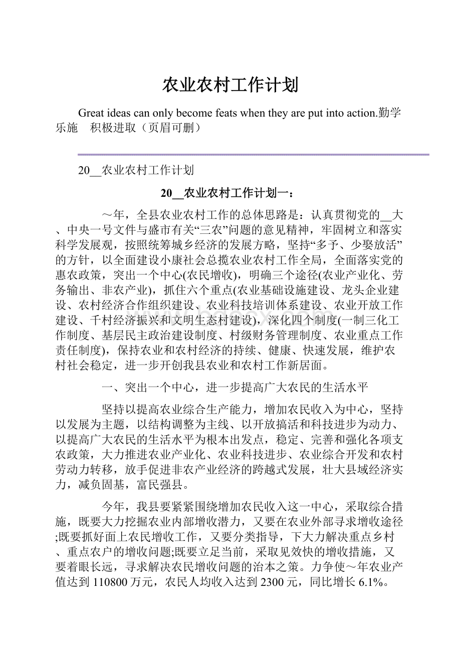 农业农村工作计划.docx_第1页