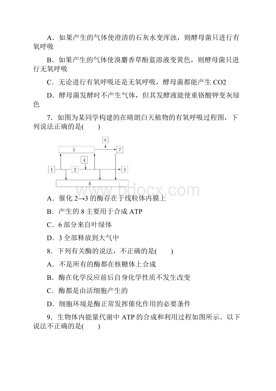 高中生物 第5章 细胞的能量供应和利用本章测试4 新人教版必修1.docx_第3页