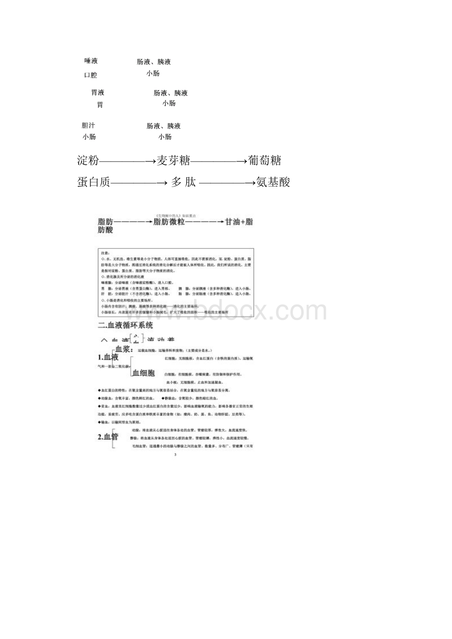 生物圈中的人知识要点.docx_第3页