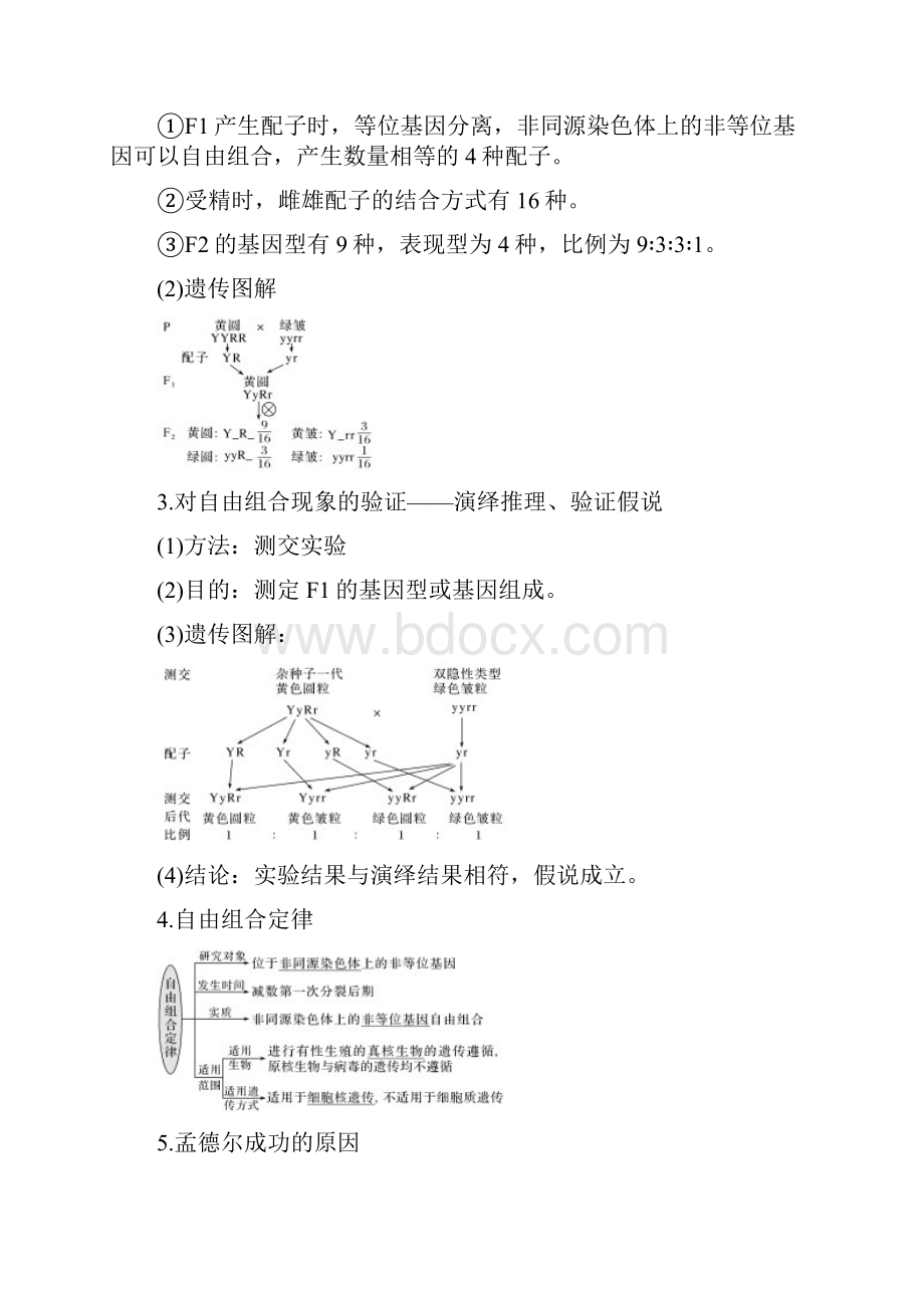 版高考生物大一轮复习第5单元遗传的基础规律第15讲基因的自由组合定律学案.docx_第2页