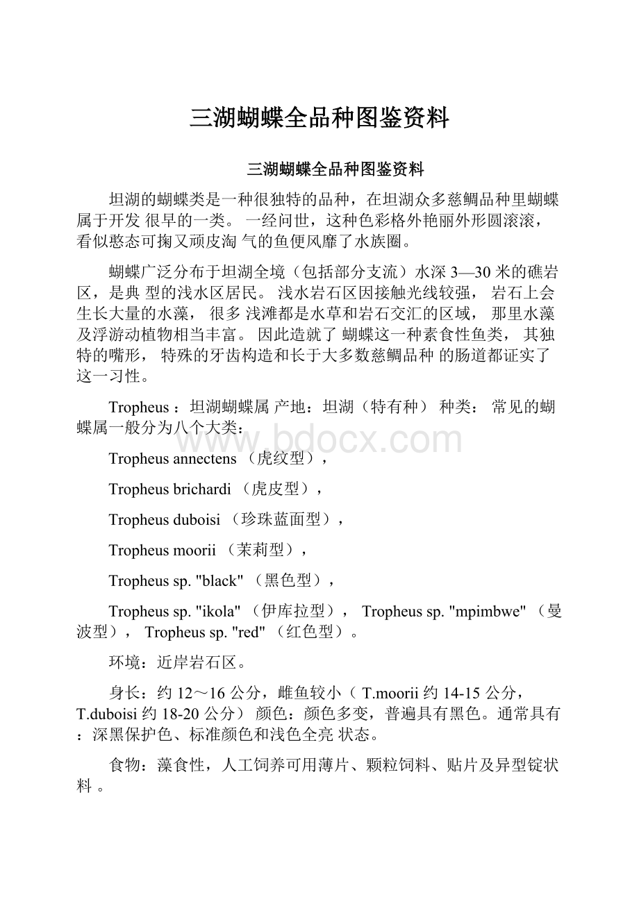 三湖蝴蝶全品种图鉴资料.docx