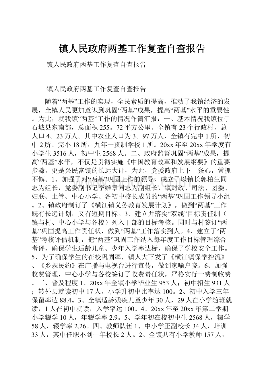 镇人民政府两基工作复查自查报告.docx