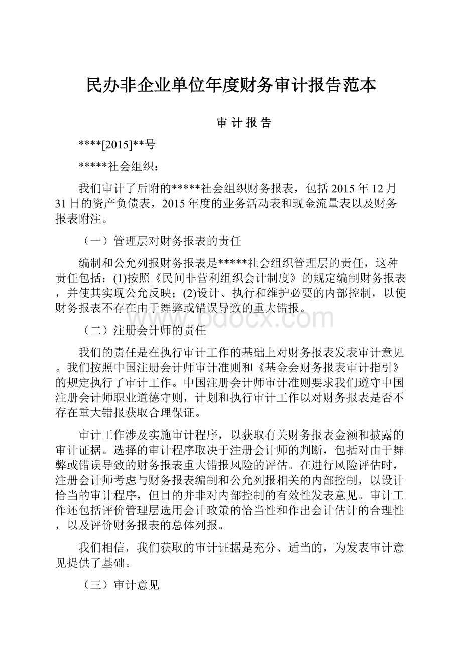 民办非企业单位年度财务审计报告范本.docx