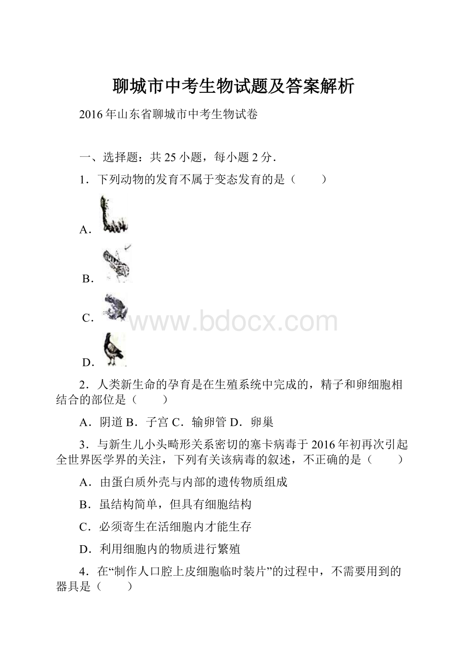 聊城市中考生物试题及答案解析.docx