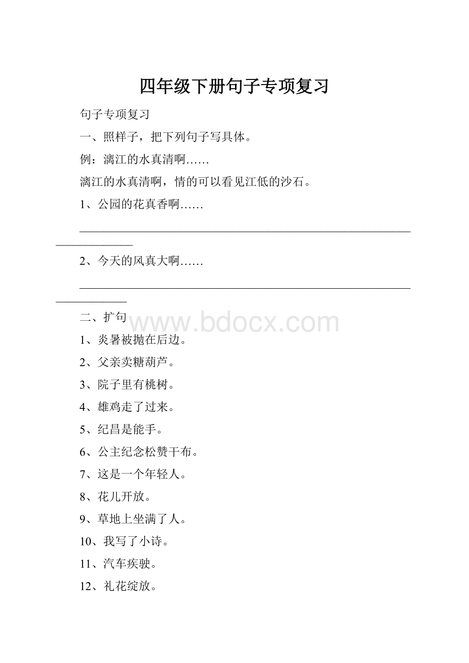 四年级下册句子专项复习.docx