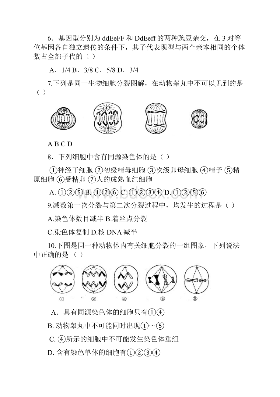 广东省汕头市潮南区学年高一生物下学期期中试题.docx_第2页