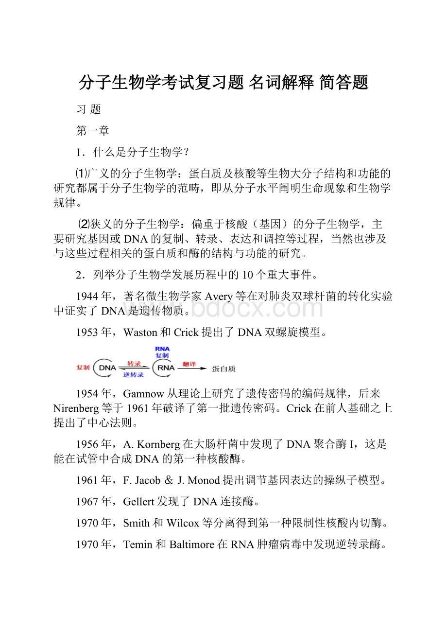 分子生物学考试复习题 名词解释 简答题.docx_第1页