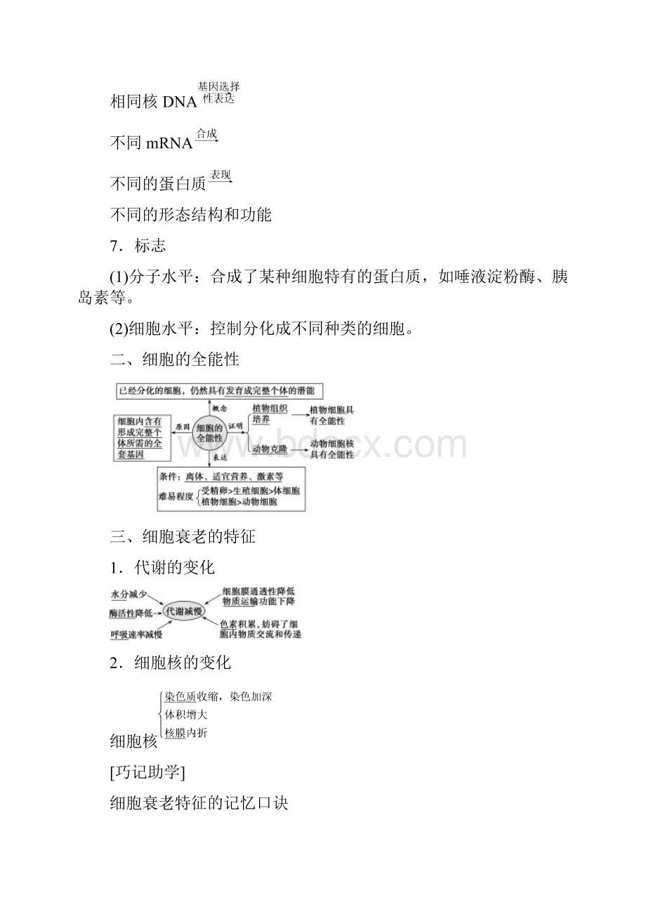 版高考生物一轮复习第四单元细胞的生命历程第三讲细胞的分化衰老凋亡和癌变学案新人教版.docx_第2页