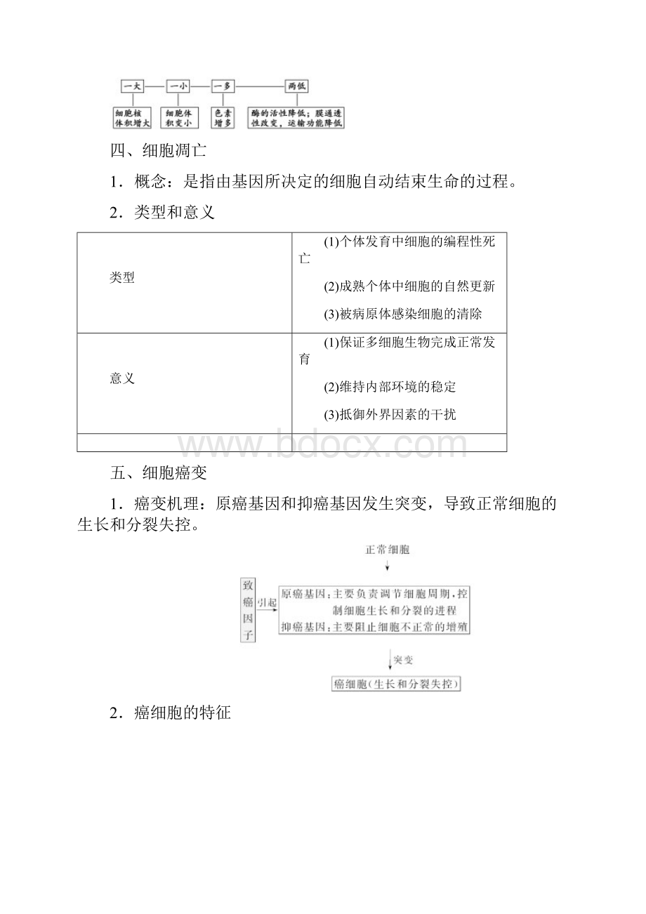 版高考生物一轮复习第四单元细胞的生命历程第三讲细胞的分化衰老凋亡和癌变学案新人教版.docx_第3页