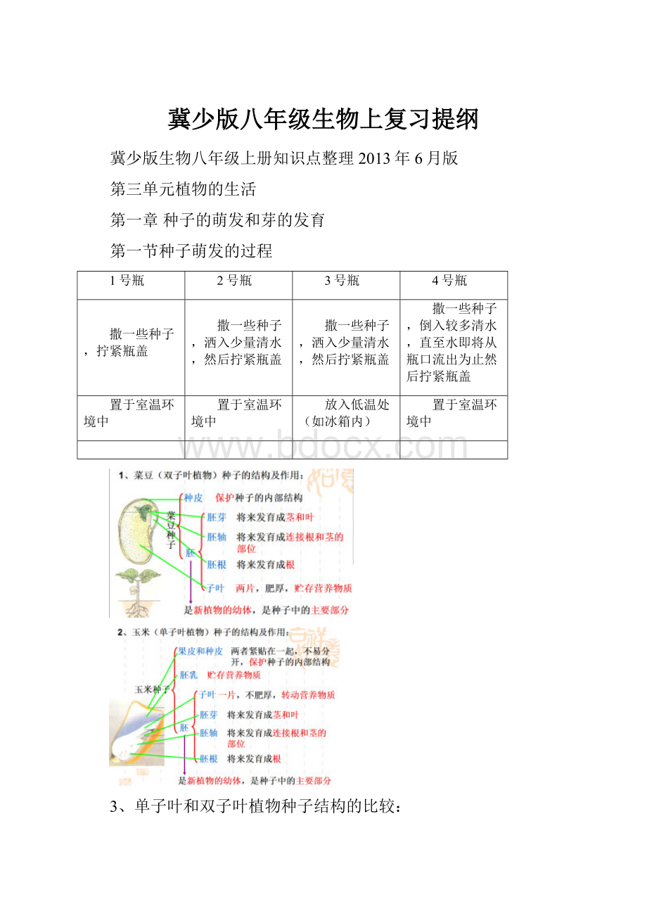 冀少版八年级生物上复习提纲.docx