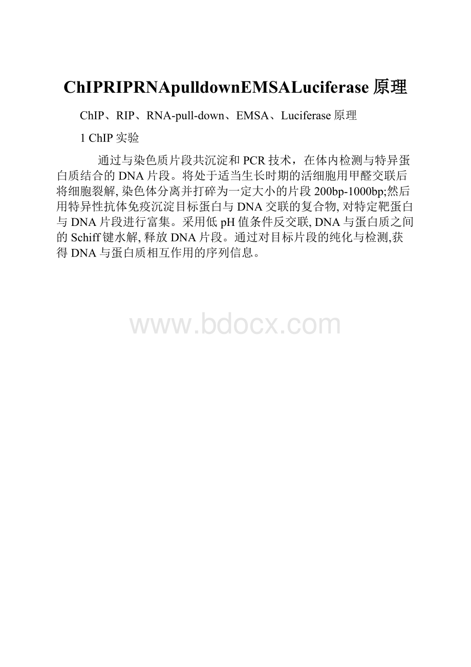 ChIPRIPRNApulldownEMSALuciferase原理.docx
