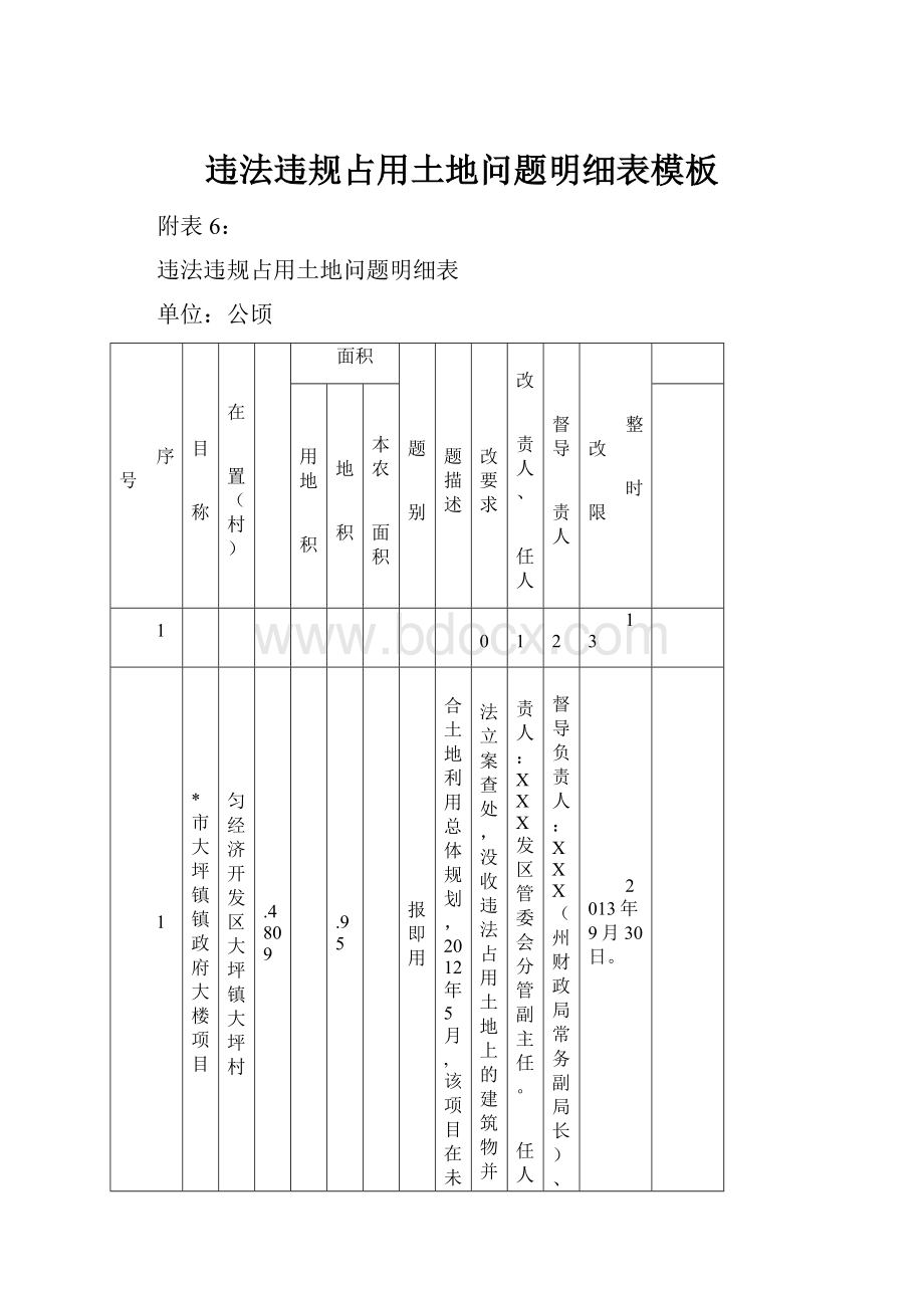 违法违规占用土地问题明细表模板.docx