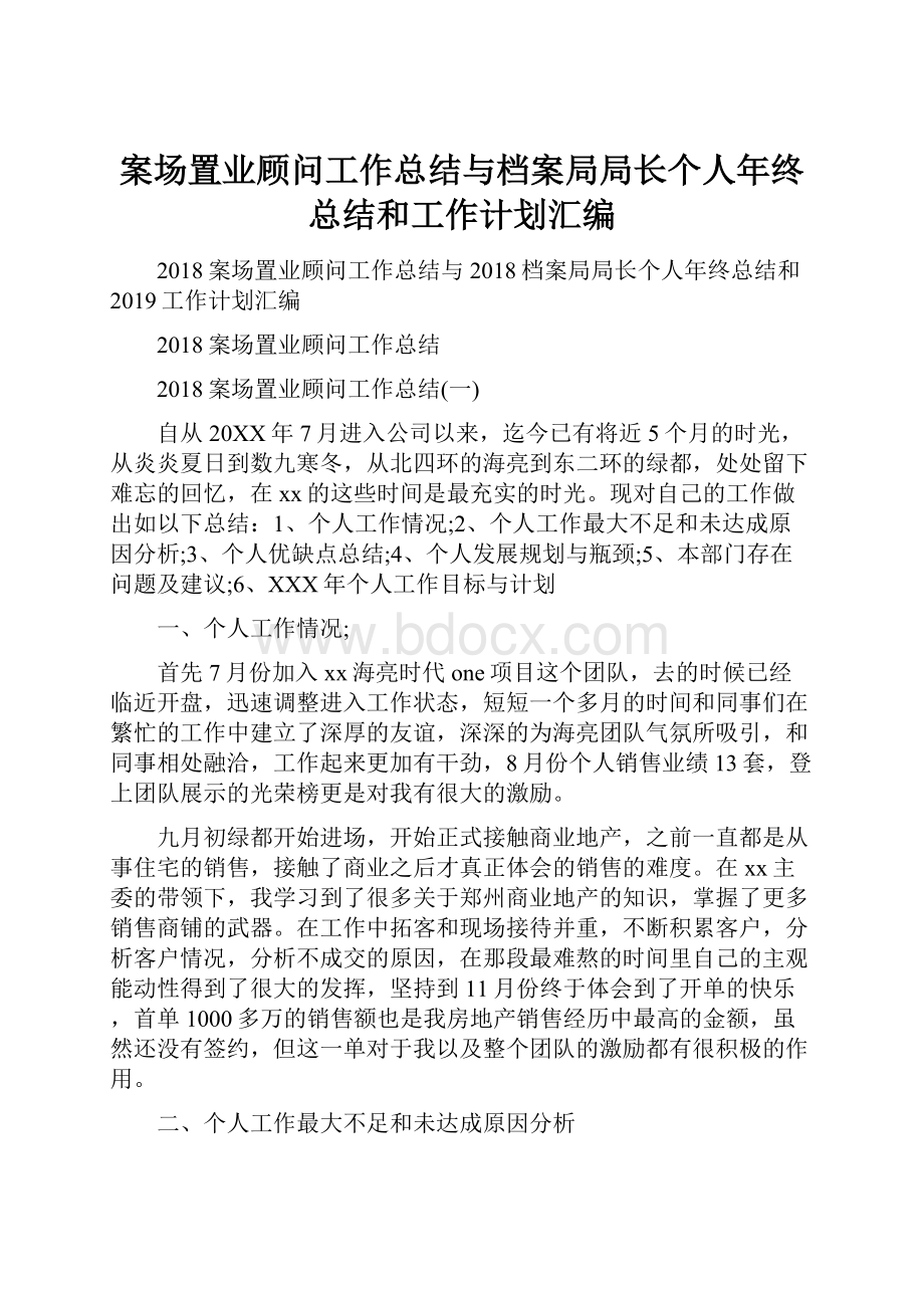 案场置业顾问工作总结与档案局局长个人年终总结和工作计划汇编.docx