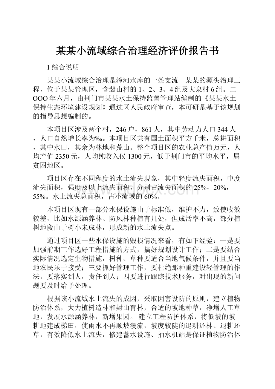 某某小流域综合治理经济评价报告书.docx