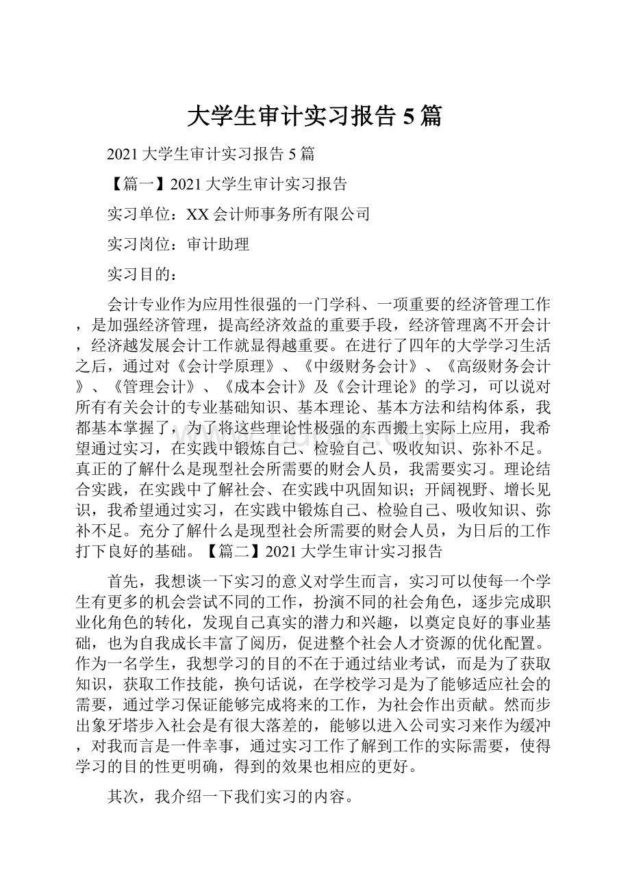 大学生审计实习报告5篇.docx