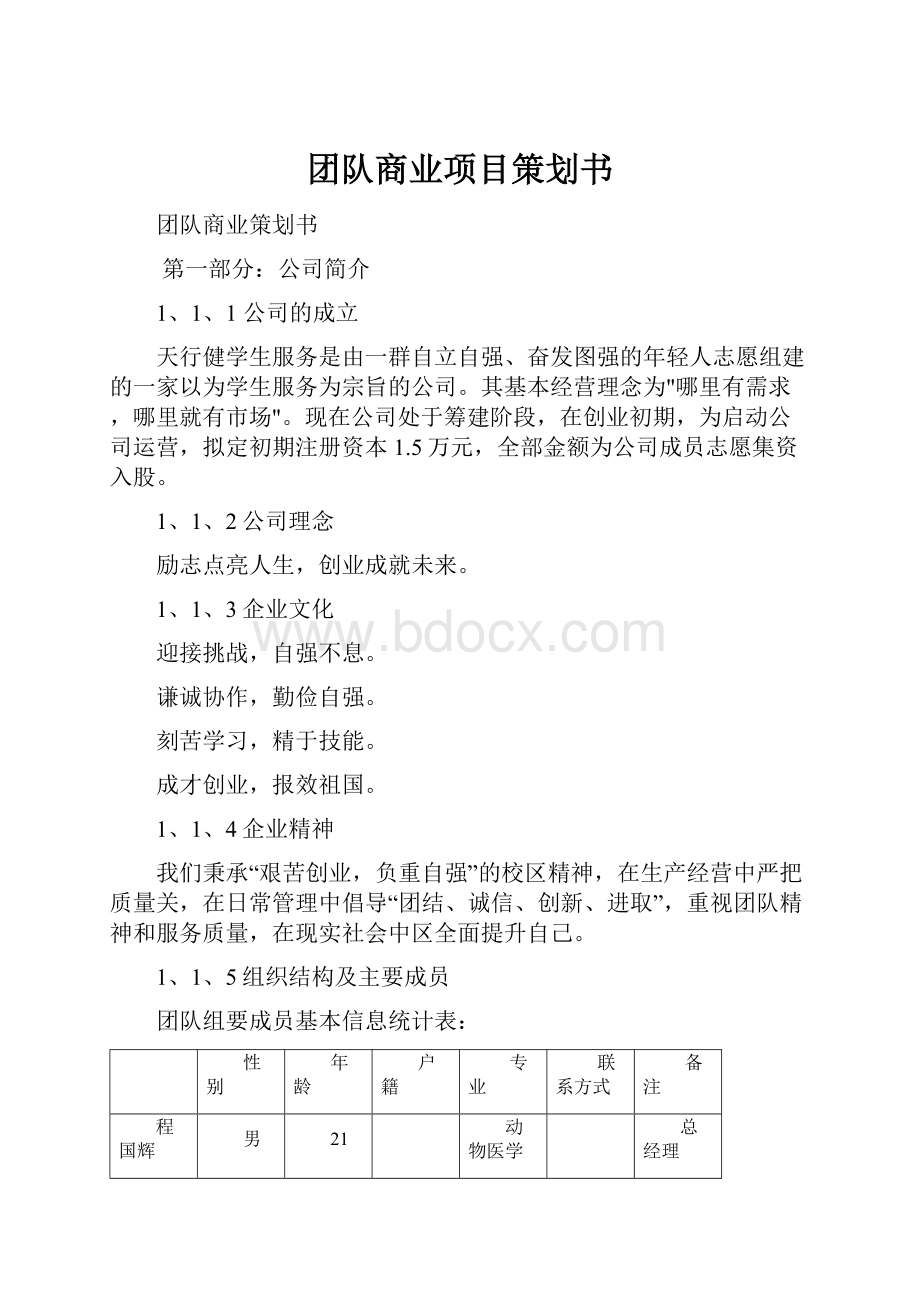 团队商业项目策划书.docx_第1页