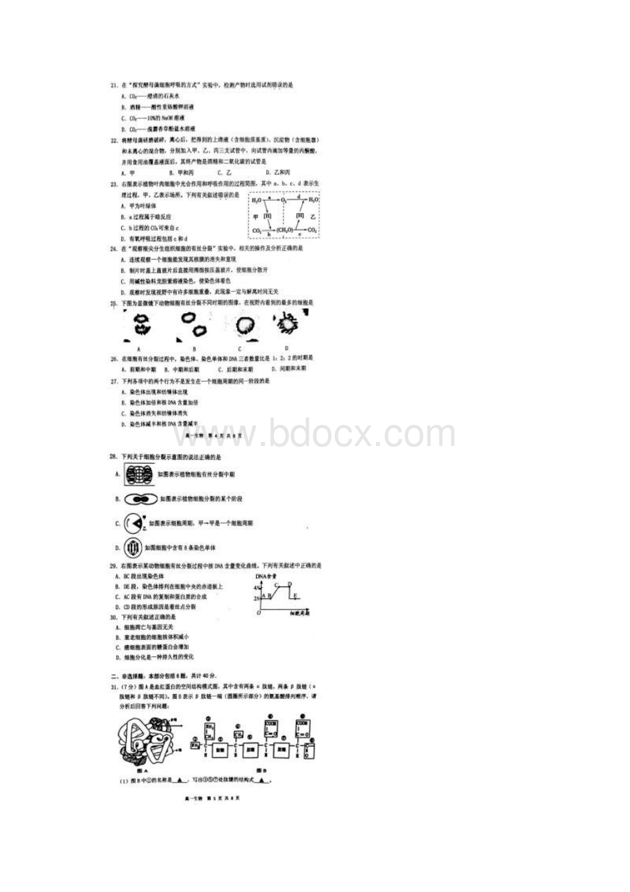 江苏省徐州市学年高一上学期期末考试生物试题扫描版含答案.docx_第3页