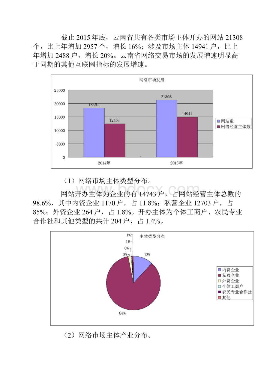 云南省工商局网络市场监管工作年度报告.docx_第2页