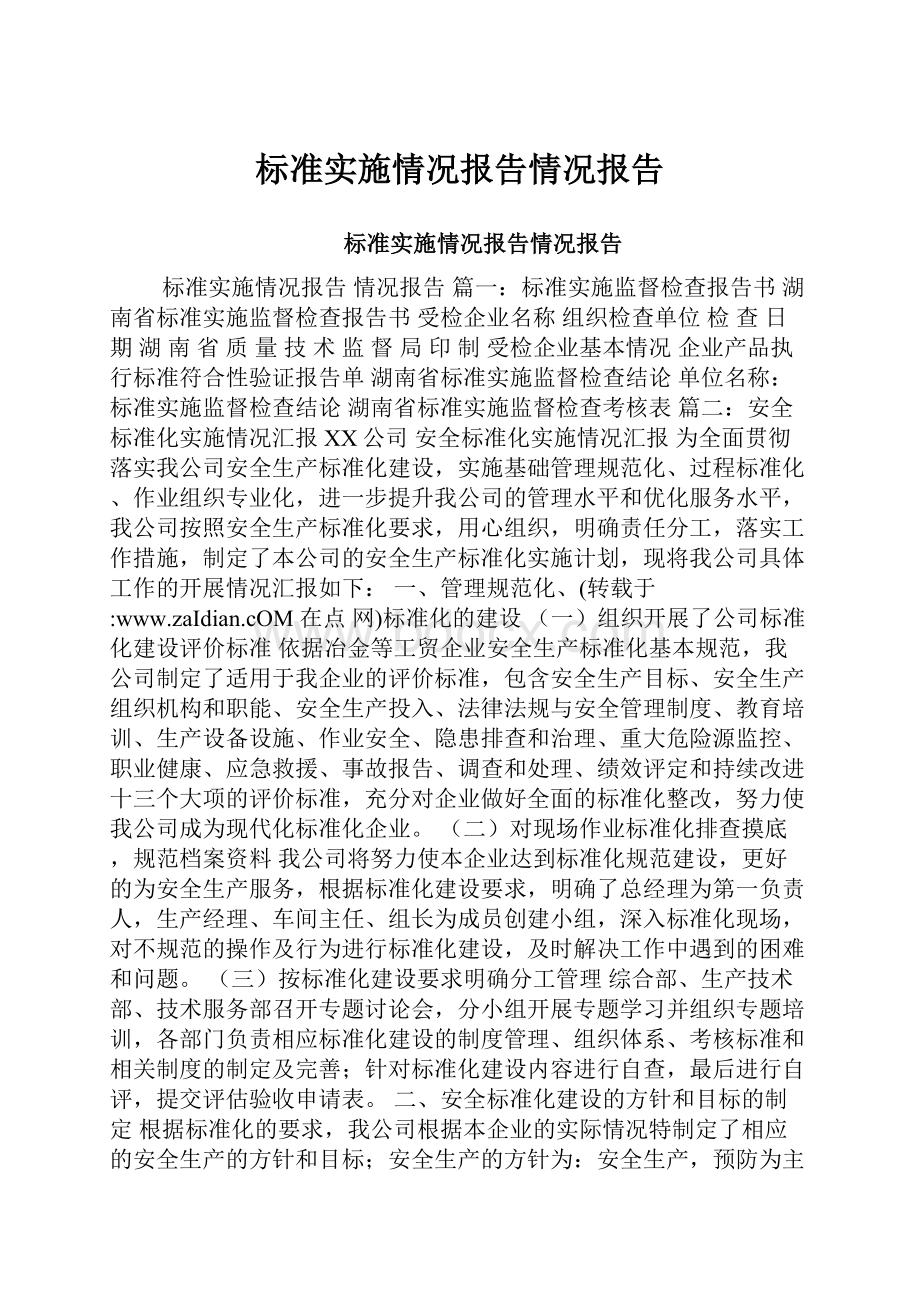 标准实施情况报告情况报告.docx