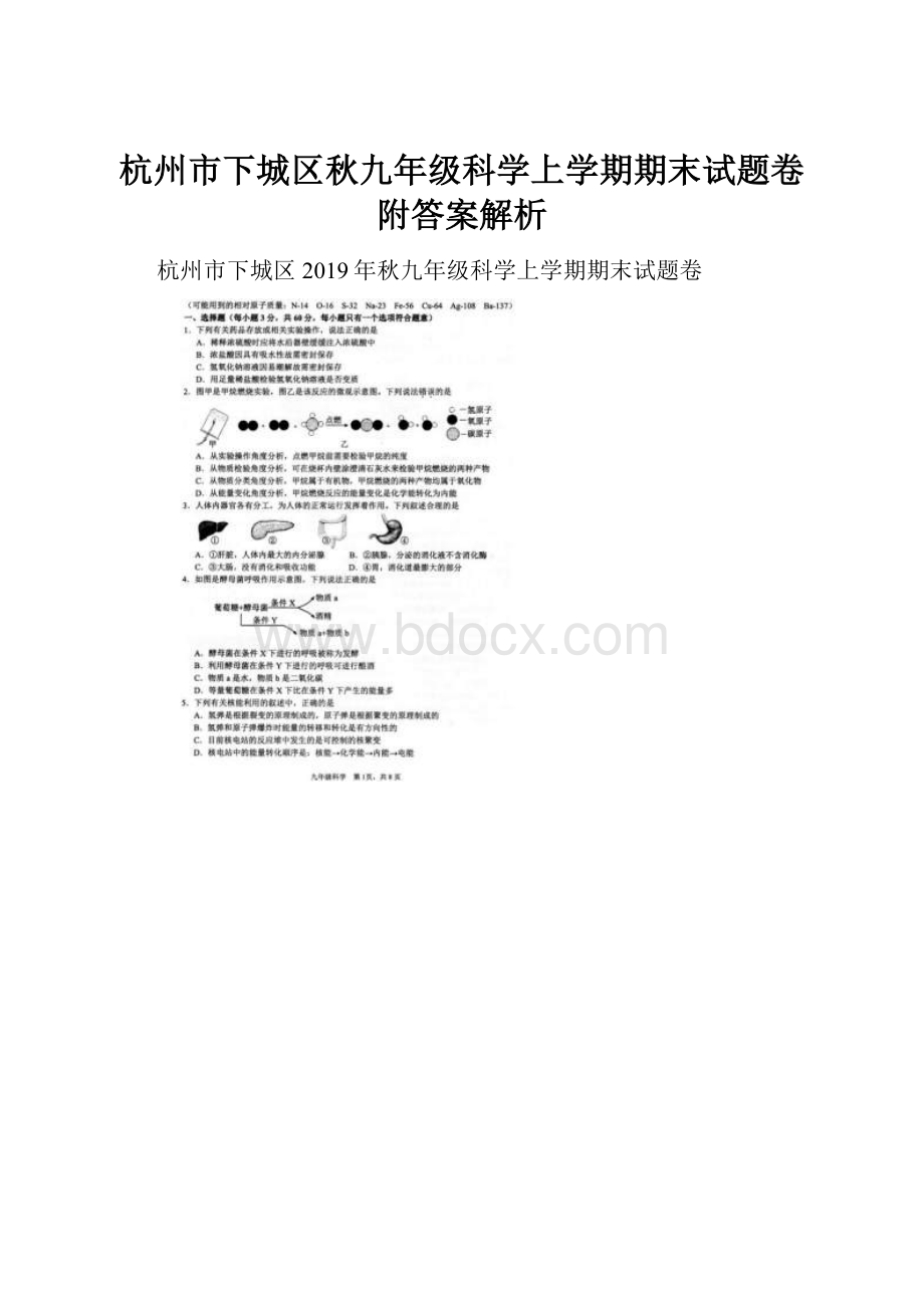 杭州市下城区秋九年级科学上学期期末试题卷附答案解析.docx_第1页