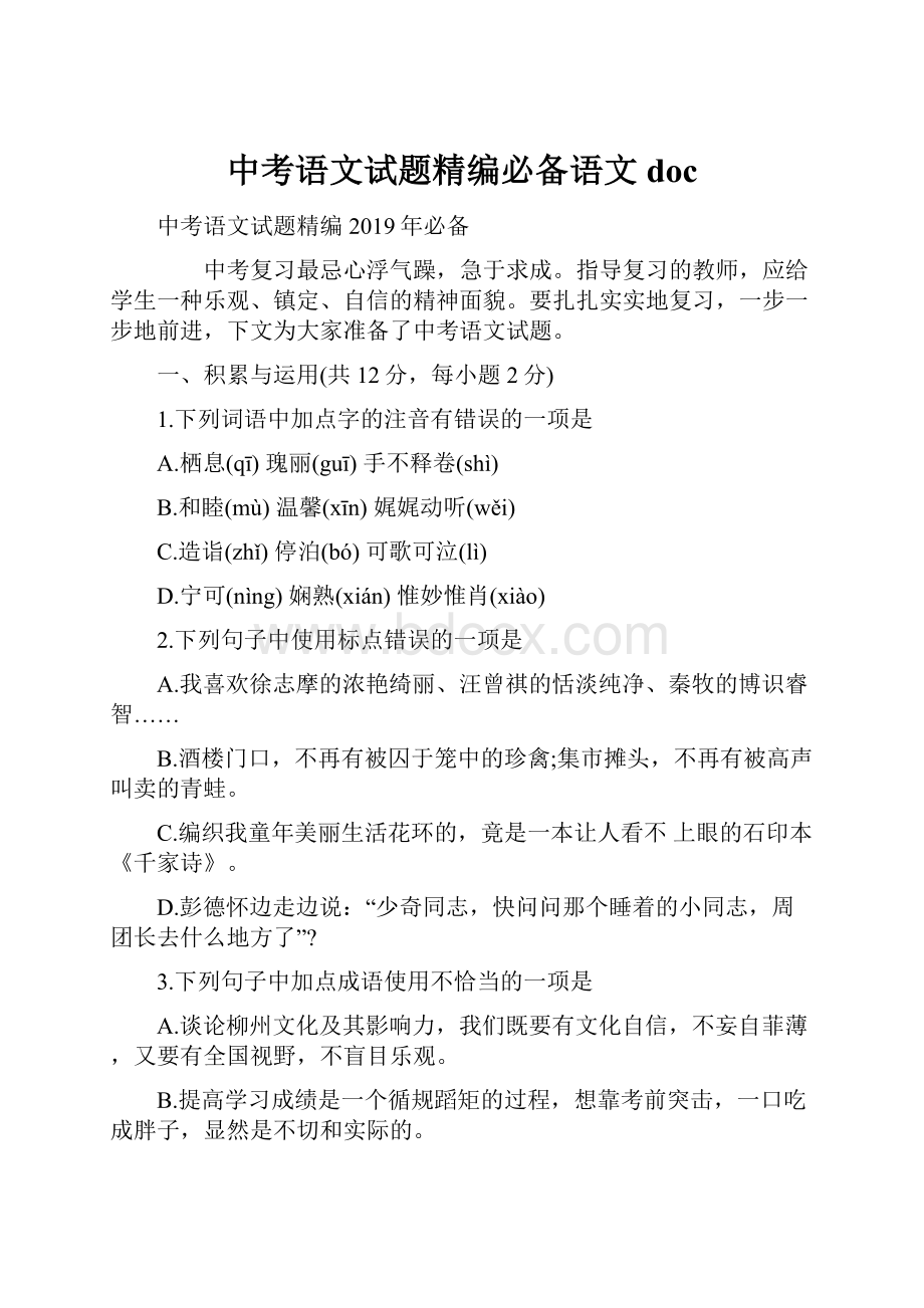 中考语文试题精编必备语文doc.docx