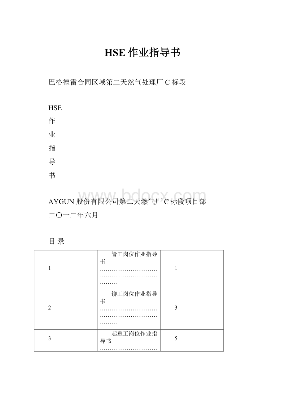 HSE作业指导书.docx_第1页