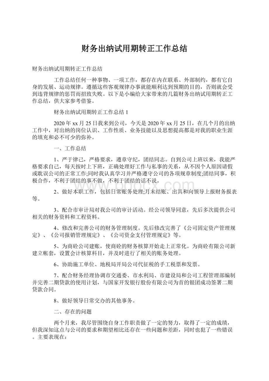 财务出纳试用期转正工作总结.docx