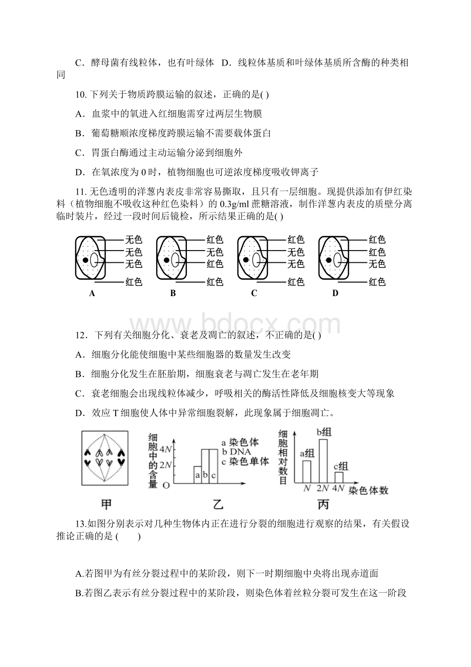 甘肃省部分普通高中届高三第一次联考生物试题 Word版含答案.docx_第3页