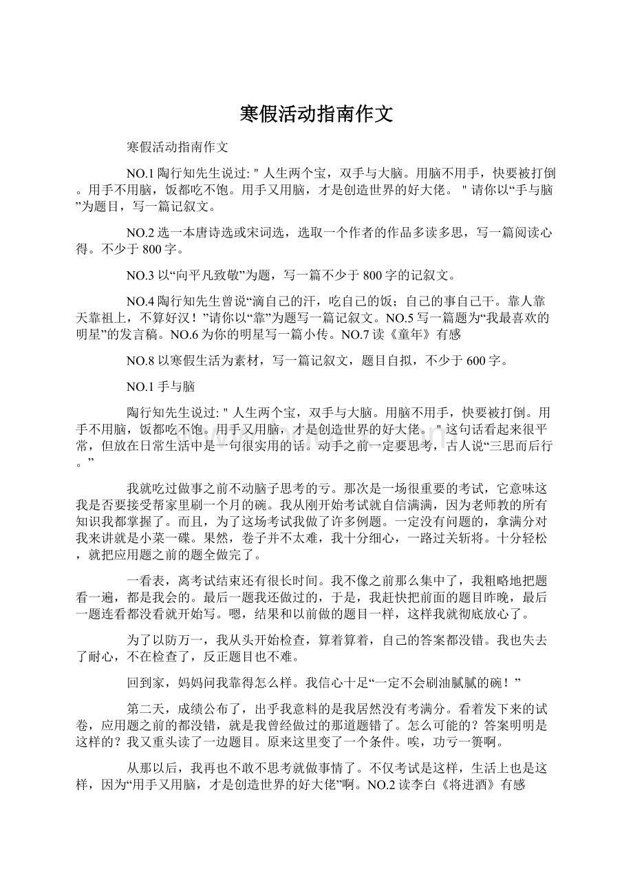 寒假活动指南作文.docx