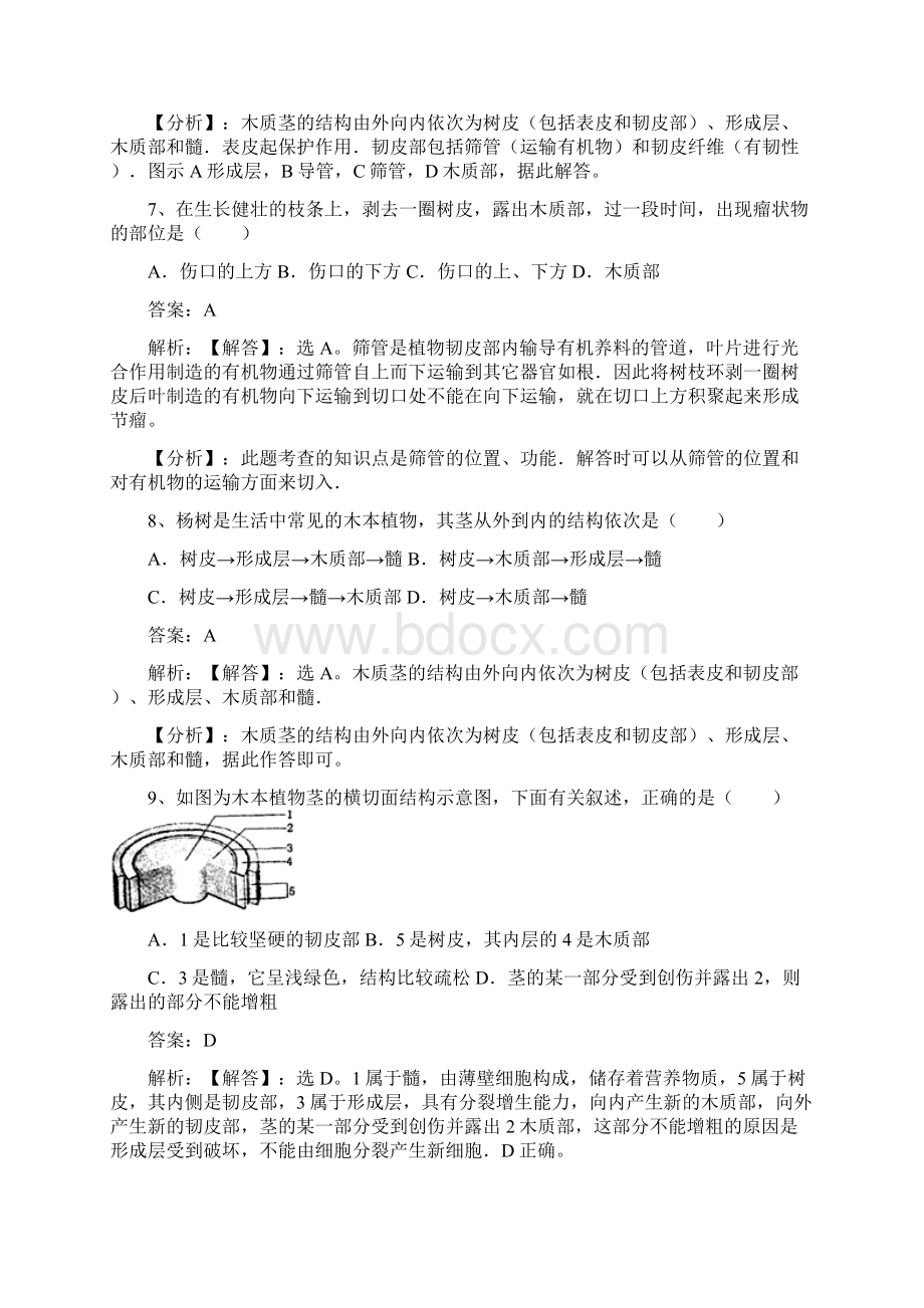 苏教版七年级生物上册第三单元第五章第四节植物茎的输导功能同步练习含答案.docx_第3页